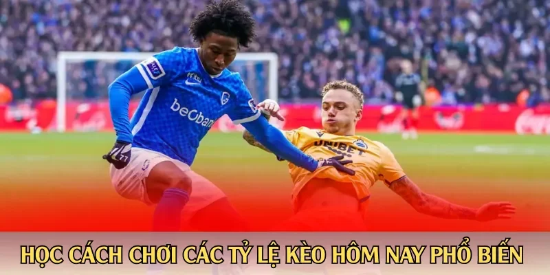 Học cách chơi các tỷ lệ kèo hôm nay phổ biến nhất