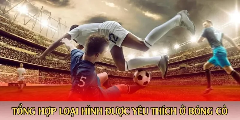 Tổng hợp những loại hình được yêu thích ở bóng cỏ là gì